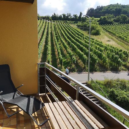 Ferienwohnung "Weinbergblick" Im Winzerdorf Leinsweiler Exterior foto