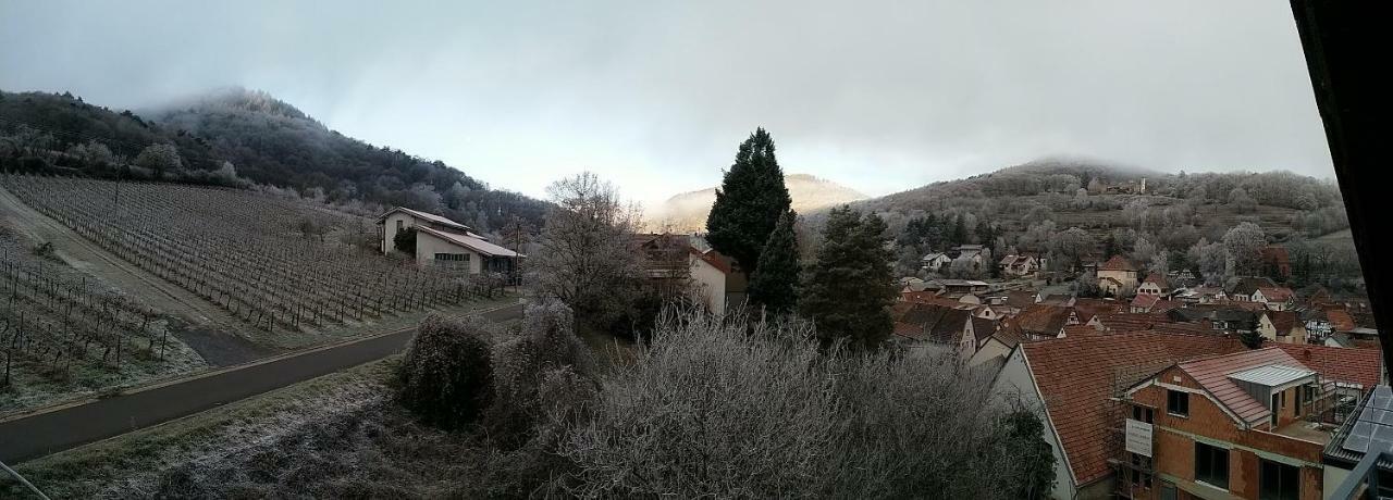 Ferienwohnung "Weinbergblick" Im Winzerdorf Leinsweiler Exterior foto